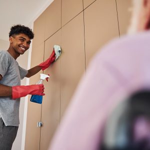 Limpieza de Mantenimiento